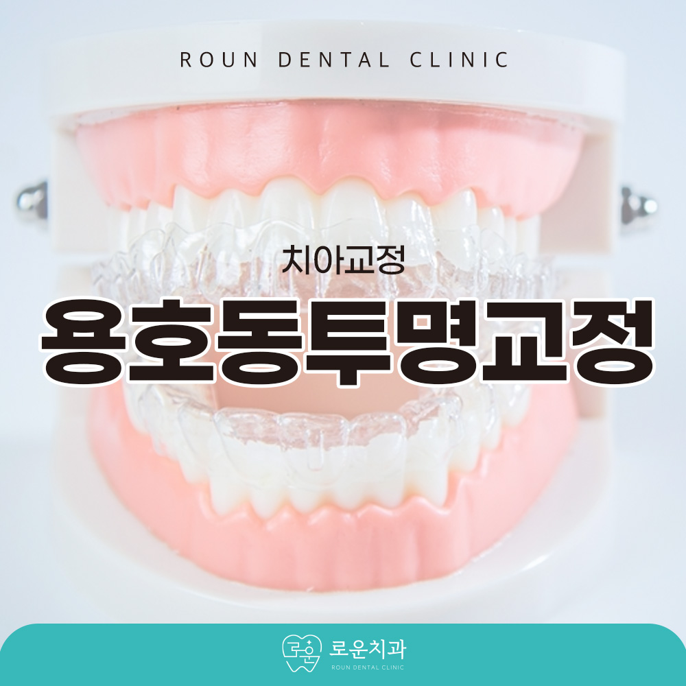 용호동투명교정