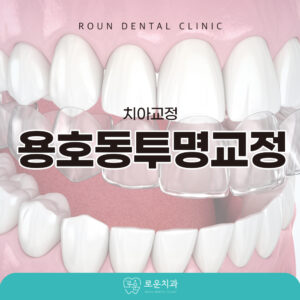 용호동투명교정